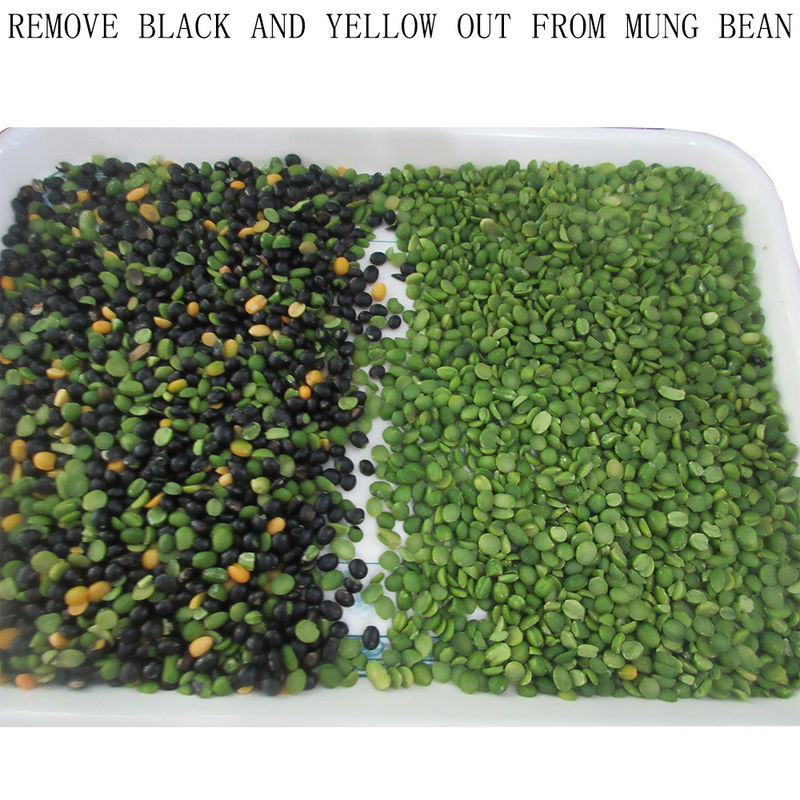 3 슈트 Soybeans CCD Color Sorter 3000kg/H Toshiba HD Imaging