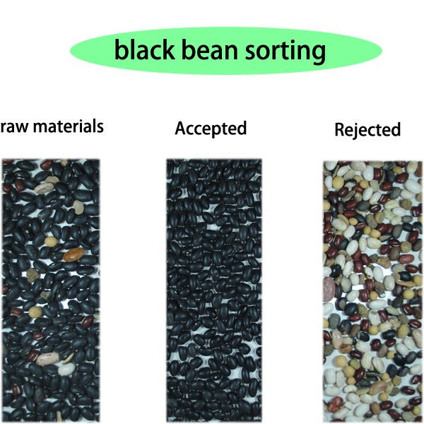 3 슈트 Soybeans CCD Color Sorter 3000kg/H Toshiba HD Imaging