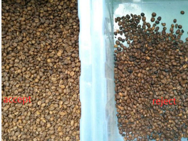 자동 콩 색상 분류기 커피 콩 정렬 기계 콩 렌즈 콩 Chickpeas에 대한 다기능 분리기