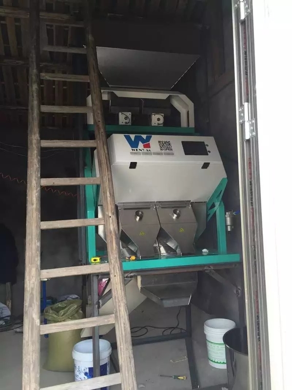지적 견과류 씨앗 땅콩 렌즈콩 콩 색채 선별기 자동차 컴퓨팅