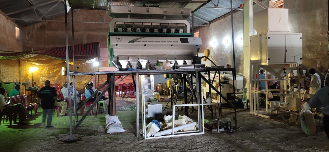 달 콩 렌즈콩 광학 Rgb 카메라 색선별기 5000 kg/H 처리량