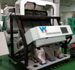1.6KW 220V 낟알색 분류기, 참깨씨 커피 콩 녹두 가공기