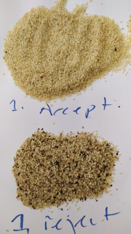 CCD sesame/soybean/sorghum/millet/wheat/corn/maize/white 쌀 색채 선별기 기계