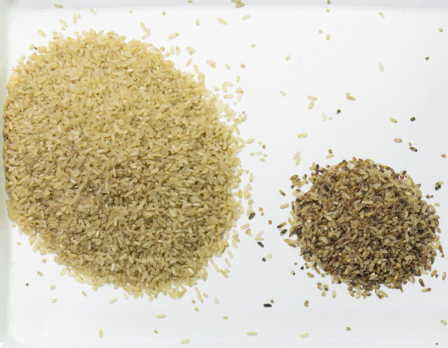 흑미 색채 선별기 기계를 분류하는 웬야오 CCD 카라메 광학 쌀 색채 선별기 색