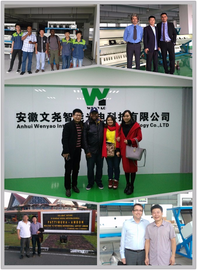 밀 담황색과 모양을 위한 RGB 광학 CCD 웬야오 색채 선별기 13