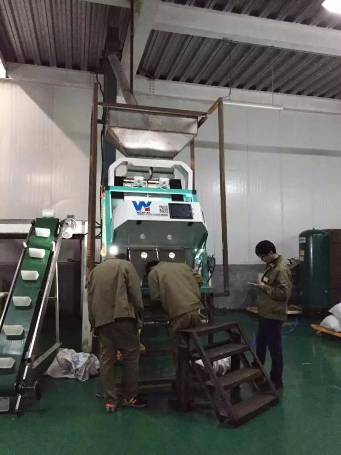 밀 담황색과 모양을 위한 RGB 광학 CCD 웬야오 색채 선별기 8