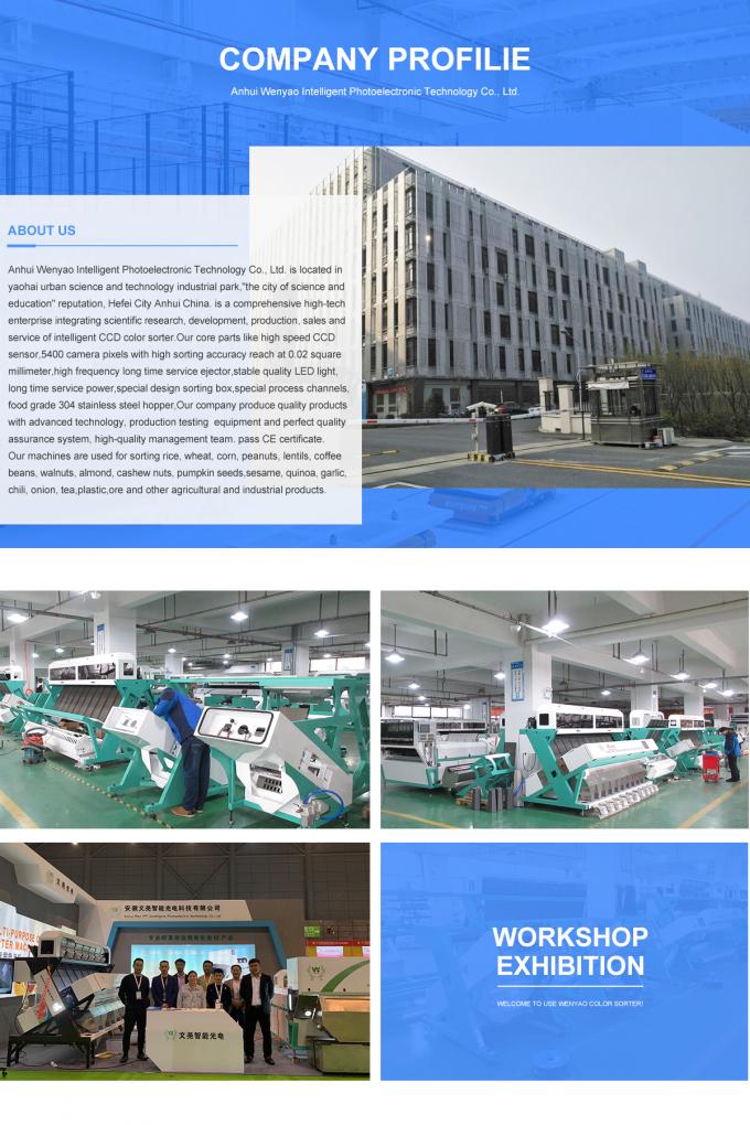 High Performance Intelligent  Plastic Flake  Color Sorter Machine PET Bottle Scrap  Color Sorting Machinery For Recycling Plant