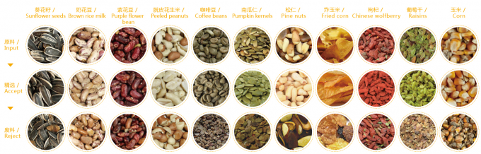 지능형 연두색 블루베리 쿨리 키위차 튀긴 양파 채소 과일 색상 정렬 기계 농장 가공 4