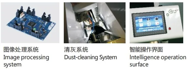 웬야오 밀 광적 색상 분류 기계 곡물 커피 콩 색상 분류 기계 Ccd 색상 분류 기계 4