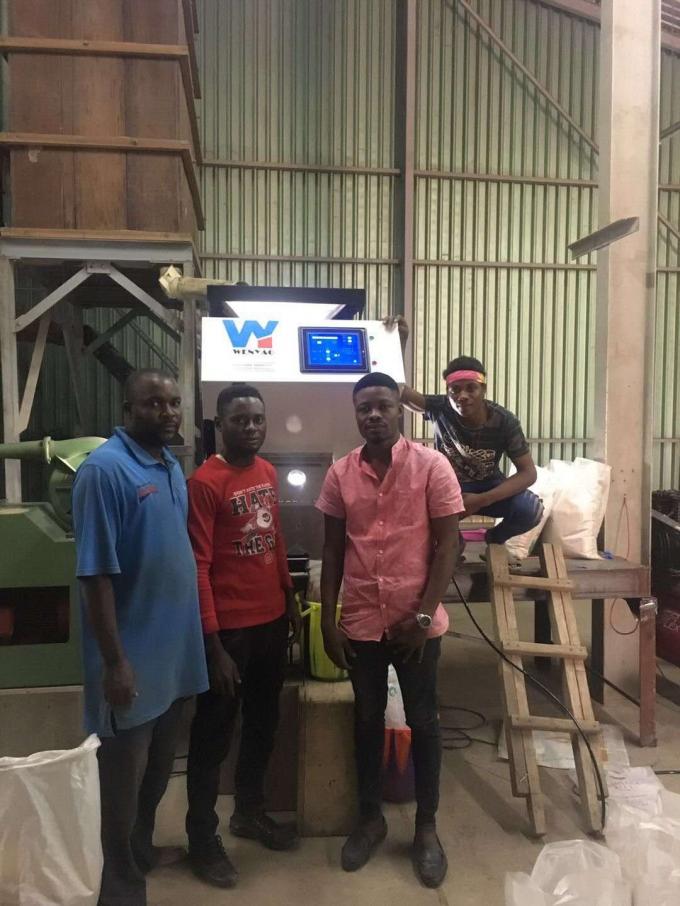 검은 녹색 차 색상 정렬 차 광적 정렬 기계 차 가공 10