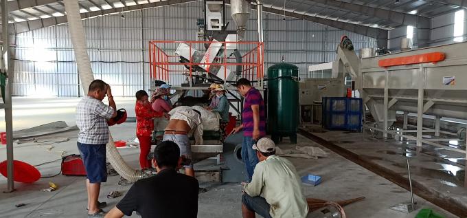 검은 녹색 차 색상 정렬 차 광적 정렬 기계 차 가공 15