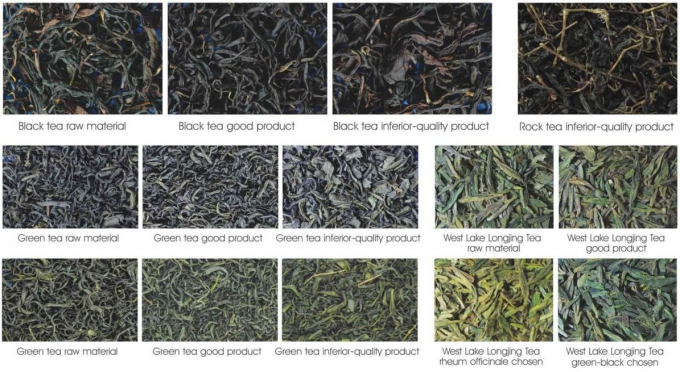 검은 녹색 차 색상 정렬 차 광적 정렬 기계 차 가공 2