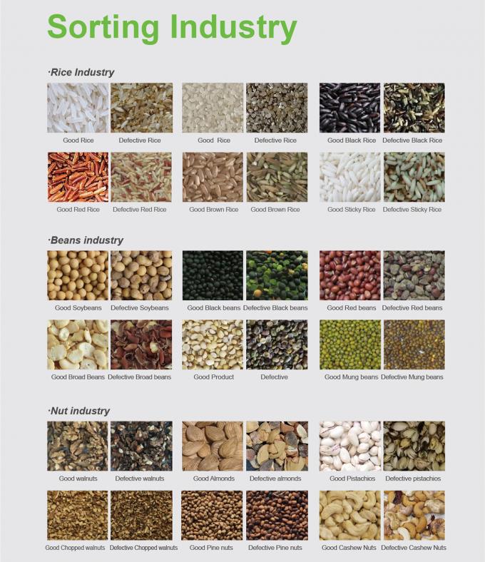 WENYAO 5 채널 넓은 콩 색상 선별기 (산업용) 2