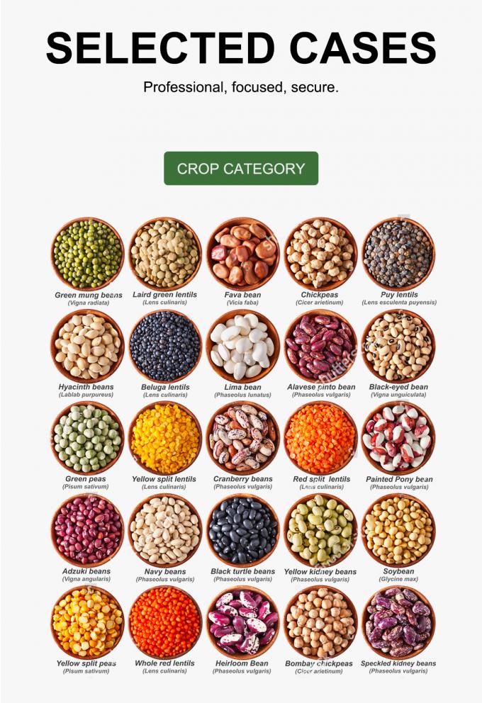 곡물 쌀 콩 선별 작업용 고속 자동 청소 색상 선별기 8