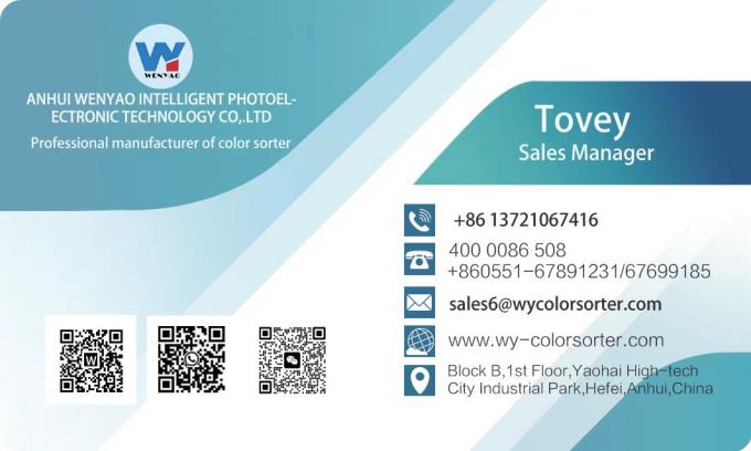 WENYAO 스테인리스 304 식품 칠리 품종 분리 칠리 품질 관리 빨간 칠리 등급을 위한 색상 분류기 18