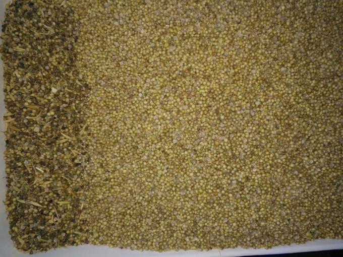 좋은 성능의 씨앗 청소 기계와 함께 작은 광학 씨앗 색상 분류기 3