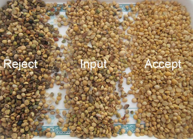 지능형 컬러 분리기 CCD 카메라 곡물 쌀 소아 콩 컬러 분류기 농업용 3