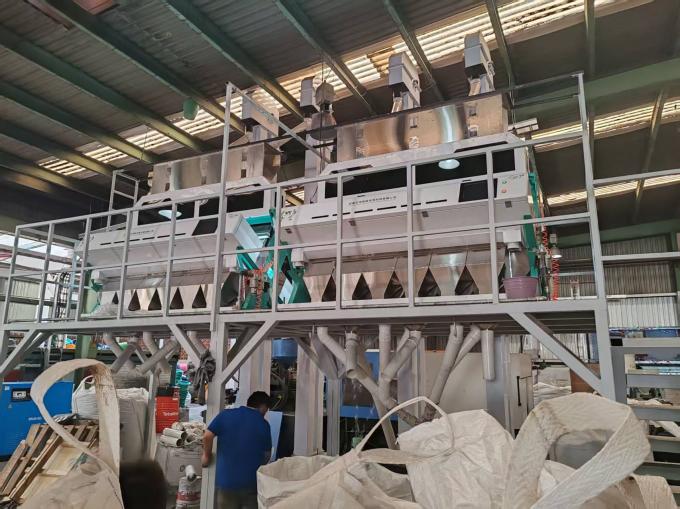 다기능 곡물 CCD 분류 기계 콩 콩 빨간 콩 농업 및 식품 가공용 광 색상 분류기 13