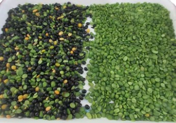 웬야오 농작물 가공 기계 렌즈 색상 분류기 색상 분리기 4