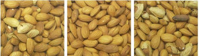 인공지능 학습 지능형 벨트 스타일 땅콩 헤즐넛 피스타치아 견과류 색상 분류 기계 13