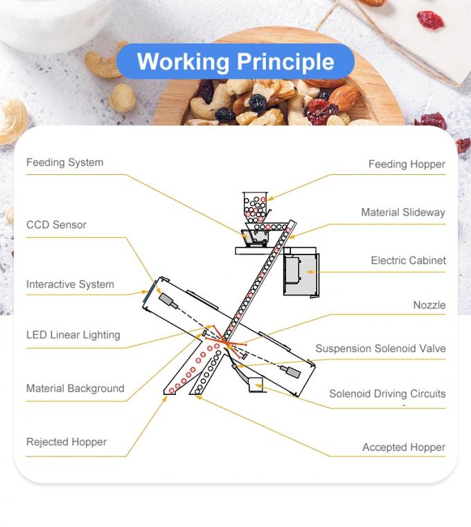 웬야오 2 슈트 128 채널 지능형 코코넛 과립 색상 선별기 4