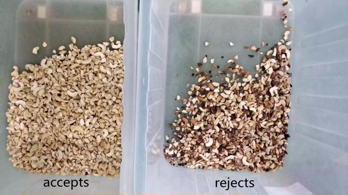 토시바 CCD 센서와 RGB 카메라를 갖춘 지능형 6 차트 캐시우넛 색상 분류 기계 6