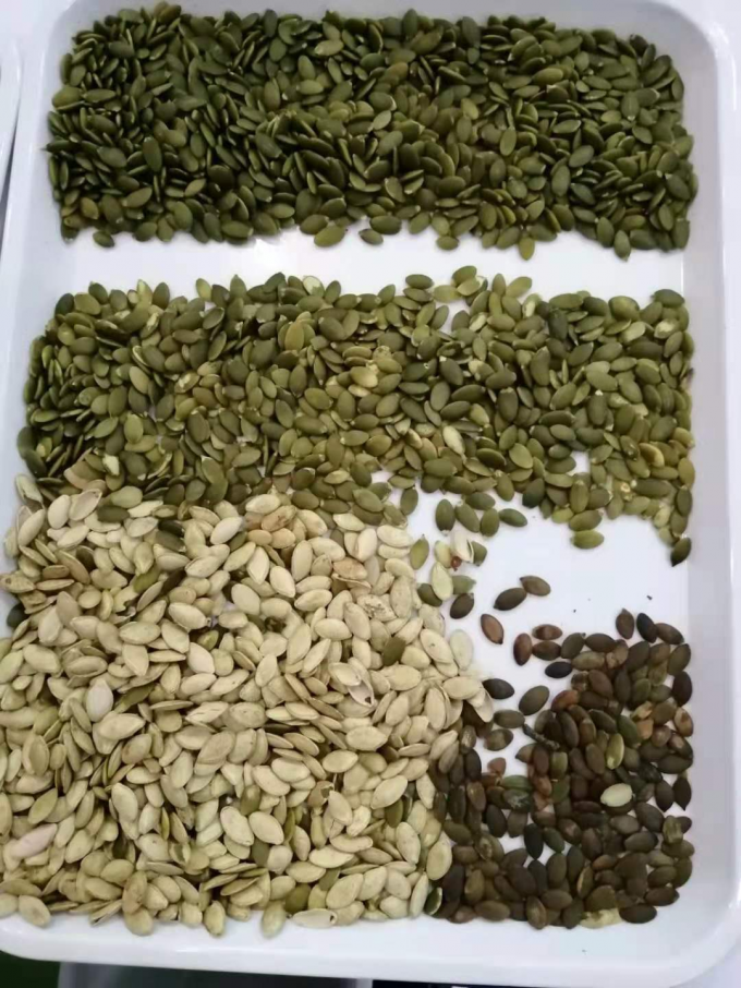 웬야오 최신 광학 CE 인증 수박 씨앗 수박 씨앗 색상 분류 기계 11