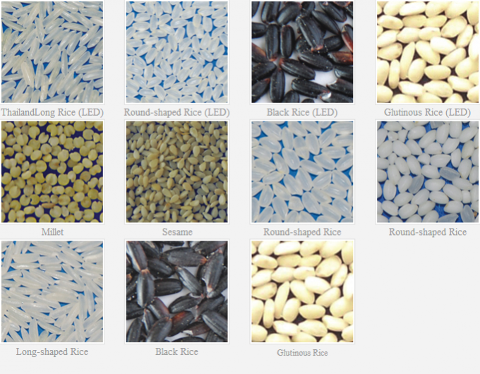 웬야오 인텔리전트 공장 직접 판매 신장 콩 땅콩 치크페이스 색상 분류 기계 9