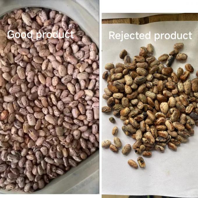 웬야오 인텔리전트 공장 직접 판매 신장 콩 땅콩 치크페이스 색상 분류 기계 10