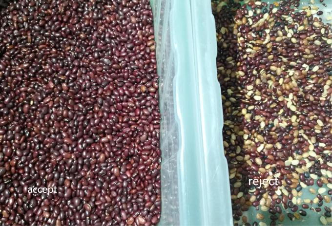 고정밀 지능형 콩팥콩 팥 광학 선별기 10