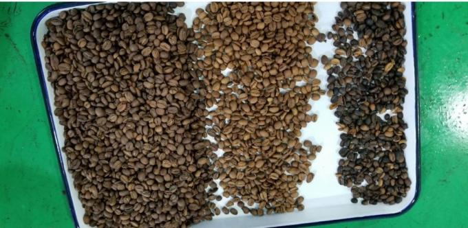 웬야오 인텔리전트 공장 직접 판매 신장 콩 땅콩 치크페이스 색상 분류 기계 13