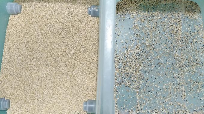 웬야오 중국 공장 7 차트 스타일 고기술 곡물 세자무 색상 분류 기계 4