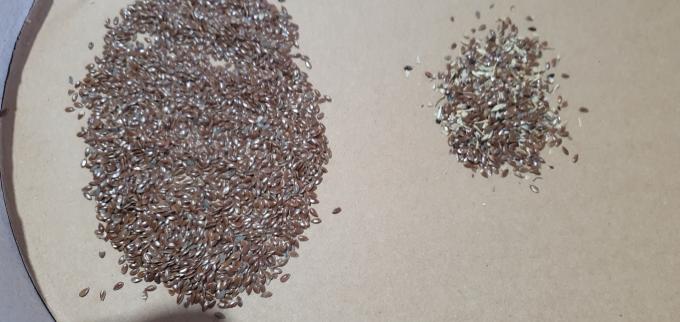 웬야오 2025 핫 판매 씨앗 정렬 완전 자동 치아 씨앗 라면 씨앗 색상 정렬 기계 13