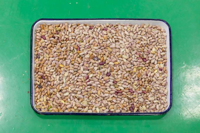 Wenyao 최신 원격 제어 지능 곡물 빨간 신장 콩 색상 분류 기계 4