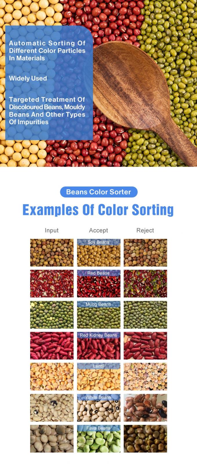웬야오 중국 공장 가격 완전 자동 빨간 콩 신장 콩 색상 분류 기계 1