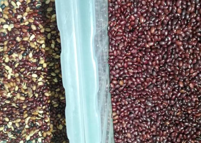 웬야오 중국 공장 가격 완전 자동 빨간 콩 신장 콩 색상 분류 기계 8