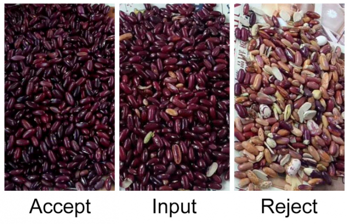 고정밀 지능형 콩팥콩 팥 광학 선별기 9