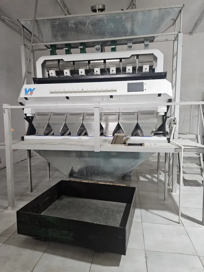 웬야오 자동 및 효율적인 플라스틱 플라크 및 플라스틱 곡물 PET PVC 색상 분류 기계 5