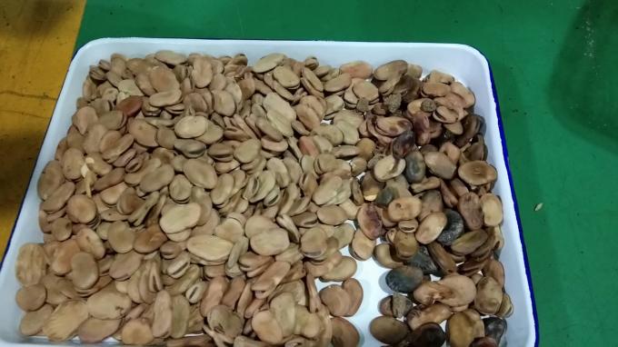 웬야오 광학 고성능 선별기 콩팥콩 브라질콩 색상 선별기 5