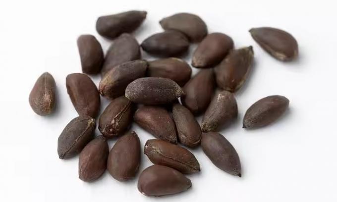 웬야오 전문 광학 참깨 컬러 선별기 면실 컬러 선별기 정렬 기계 가격 11