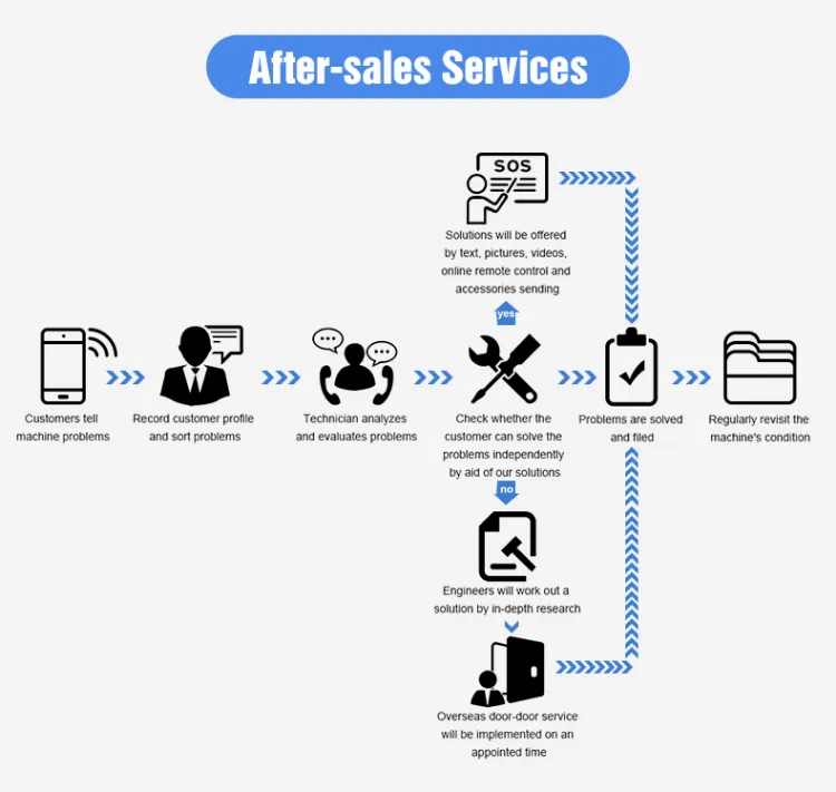 콩 색상 선별기 펄스 정렬 선택기 기계 녹두 검은 소험 씨앗 청소 장비 5