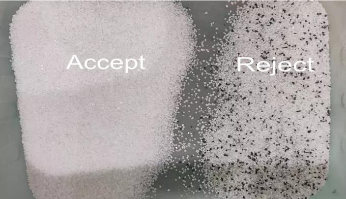 WENYAO 2025 신제품 출시 304/316L 고정밀 CCD 암염 입자 색상 선별기 2