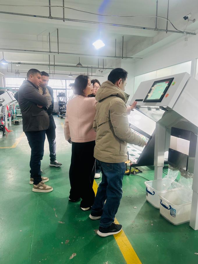 WENYAO 2025 신제품 출시 304/316L 고정밀 CCD 암염 입자 색상 선별기 9