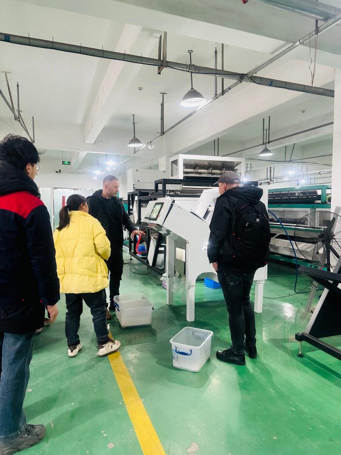 WENYAO 2025 신제품 출시 304/316L 고정밀 CCD 암염 입자 색상 선별기 10