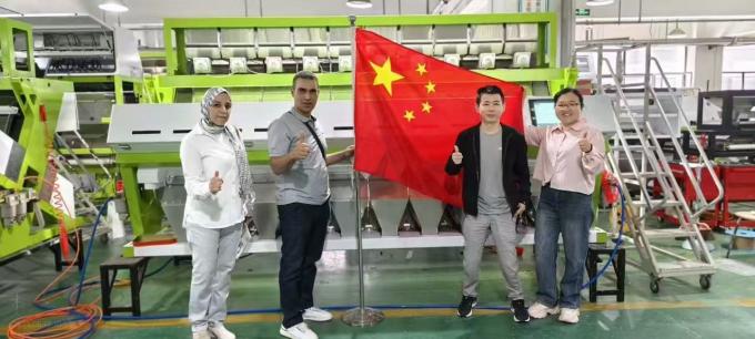 WENYAO 2025 신제품 출시 304/316L 고정밀 CCD 암염 입자 색상 선별기 14