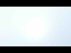 웬야오 색채 선별기