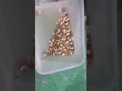 피스타치오 색상 분류기 벨트 타입 색상 분류기