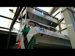 광대 콩 색상 분류기