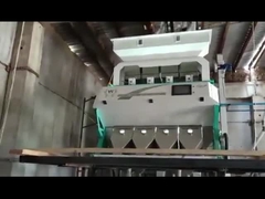 레드 콩 색상 분류기