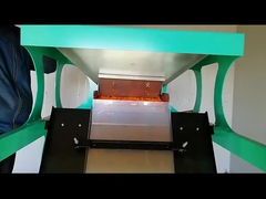 해바라기 색조 분류기